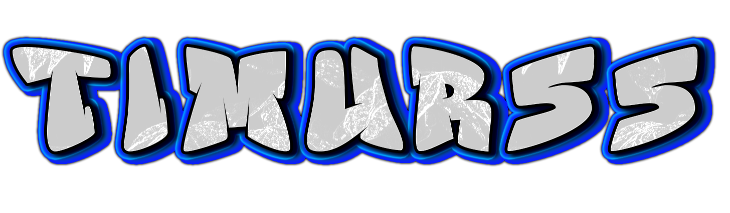 TIMUR55 Logo